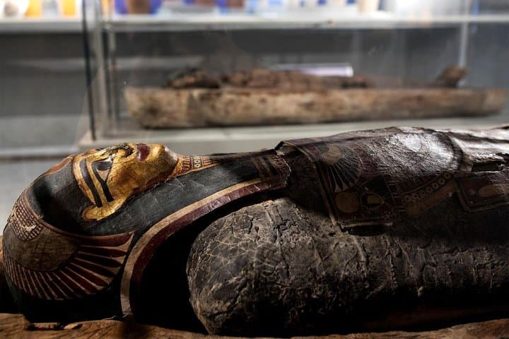 Guided Tour of the Archaeological Museum of Naples
