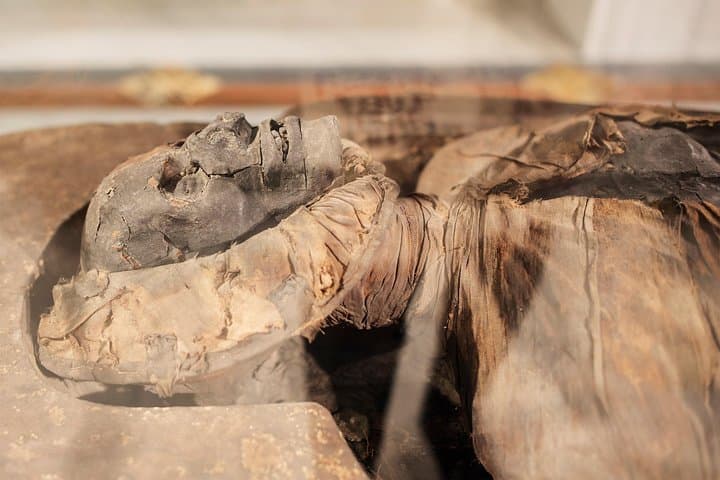 Guided Tour of the Archaeological Museum of Naples