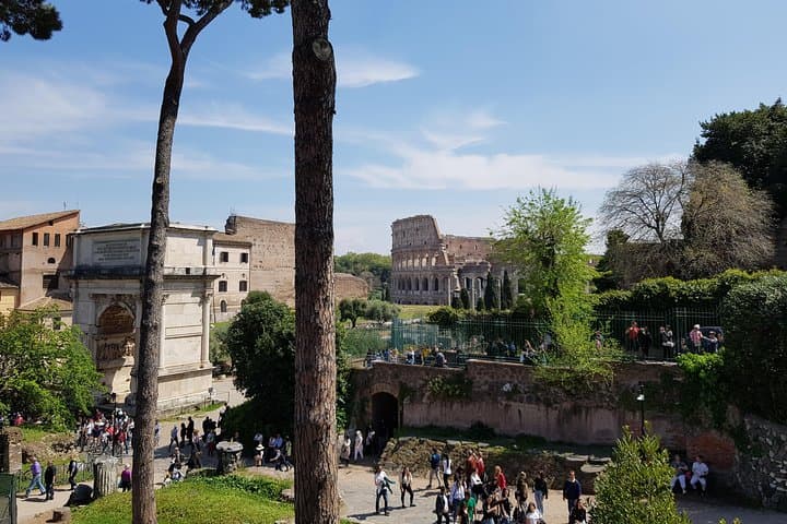Colosseum Arena Floor, Forum & Palatine Hill Guided Tour