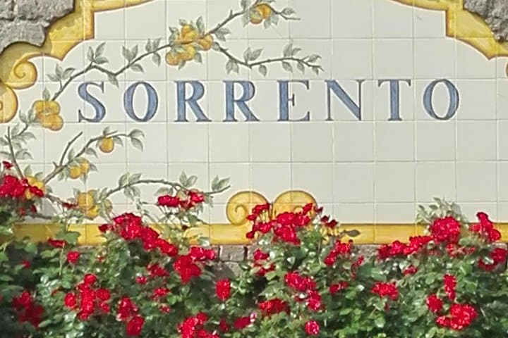 Sorrento panel