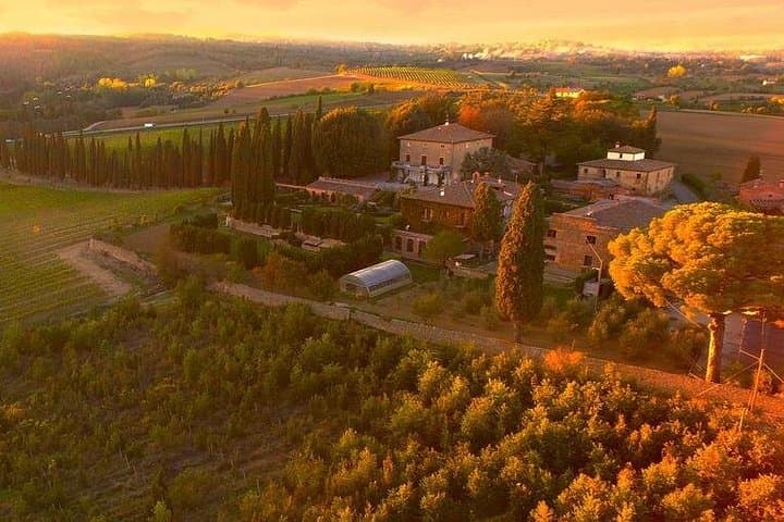 Arezzo: Wine Tasting Experience in Valdichiana area