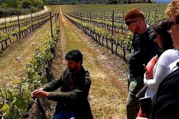 Chianti