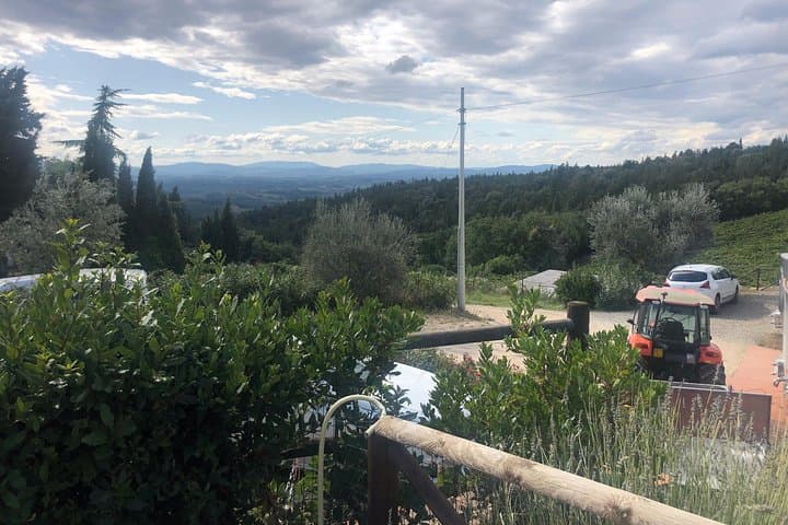 Tuscany Brunello wine tour (12hrs) Montalcino, Montepulciano