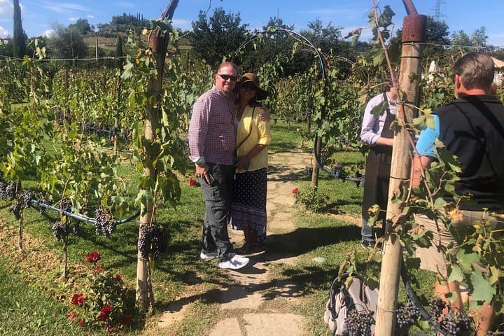 Tuscany Brunello wine tour (12hrs) Montalcino, Montepulciano