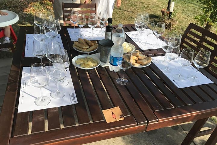 Wine tasting Versilia with sommelier
