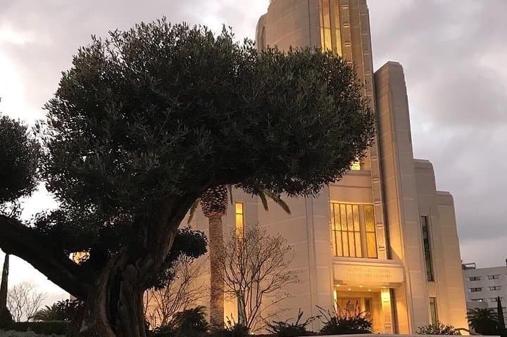 Private Service - The Rome Italy Temple (hotel pick up/drop off)