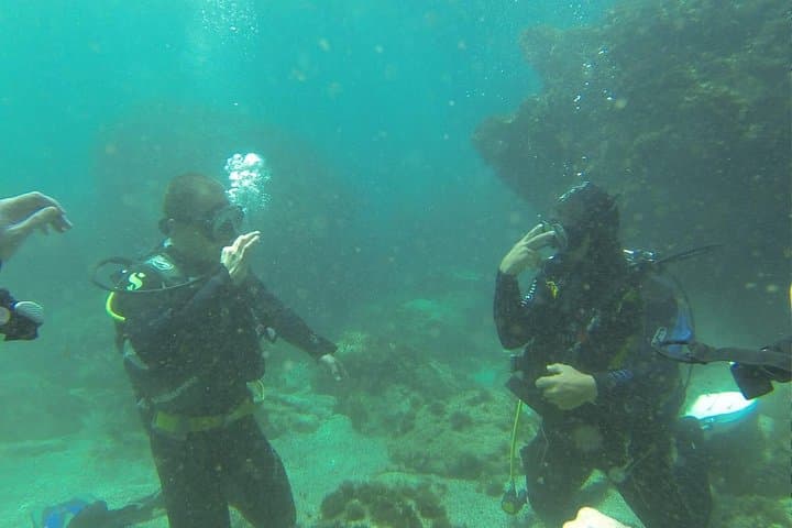 Discover scuba diving