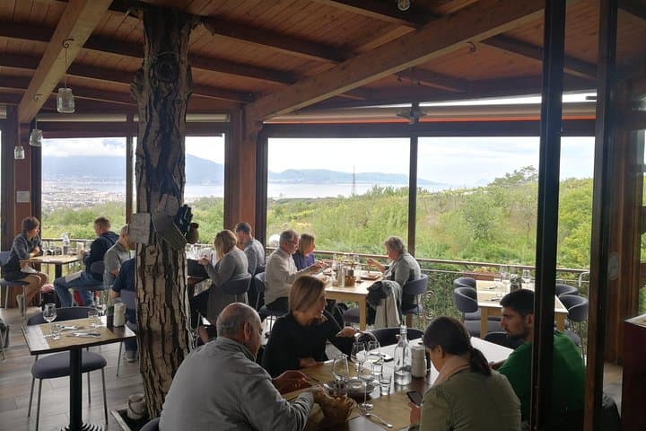 winery