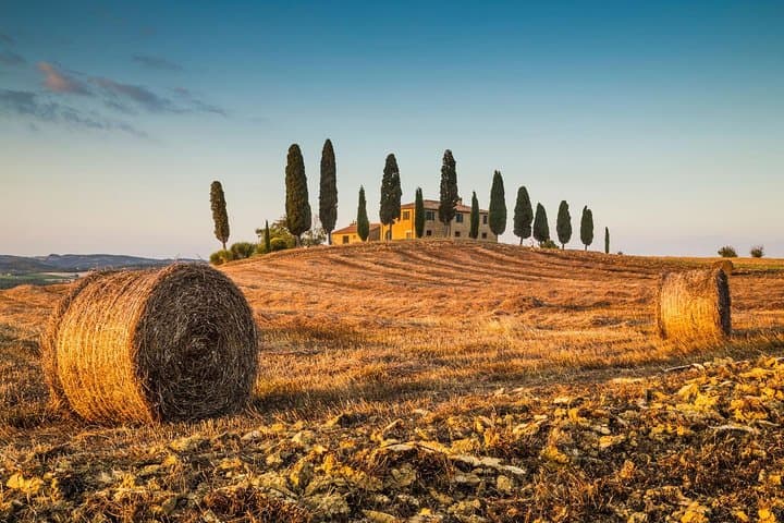 Tuscany Tour: Montepulciano, Pienza & Montalcino
