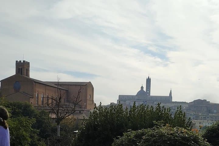 Siena:The main attractions of the city