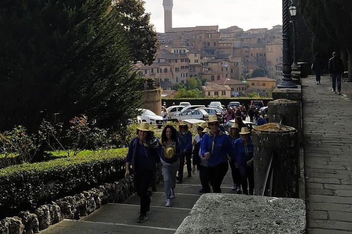 Siena:The main attractions of the city