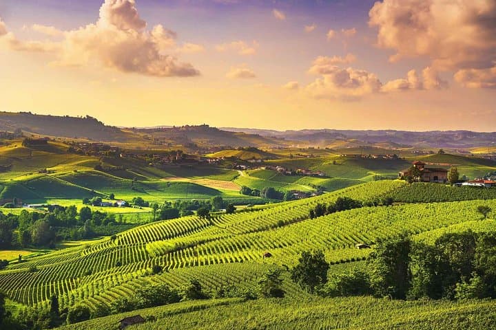 Enjoying breathtaking view