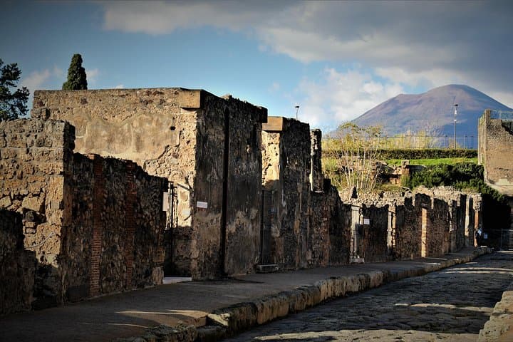 Herculaneum: skip the line entry ticket (art) + audioguide & map