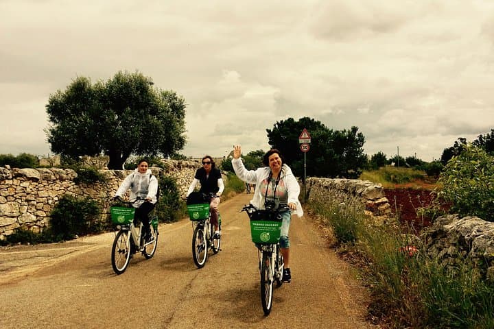 Private e-bike tour along Alberobello with lunch at local Masseria