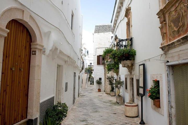 Private e-bike tour along Alberobello with lunch at local Masseria