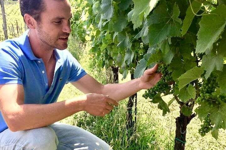 Leon explaining vines