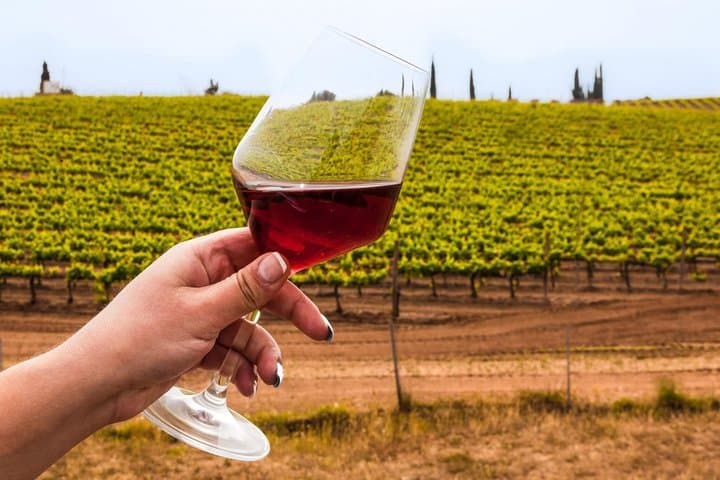 wine tour