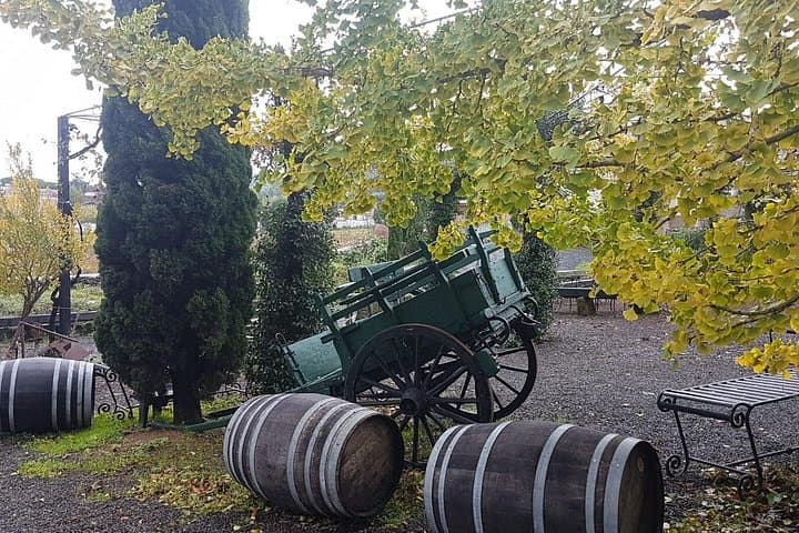 Vine & Olive: Private Tasting Experience (Veget & Vegan Friendly)