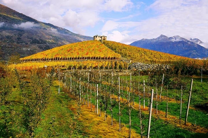 Winery and tasting