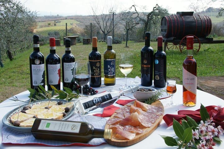 Wine Tour Experience at Agricola Tamburini