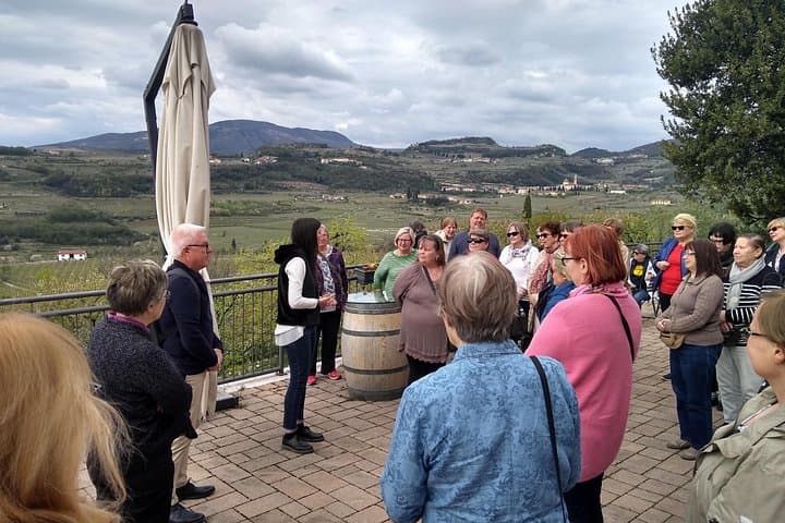 Amarone Wine Tasting in Valpolicella