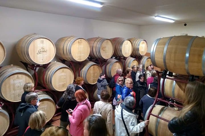 Amarone Wine Tasting in Valpolicella