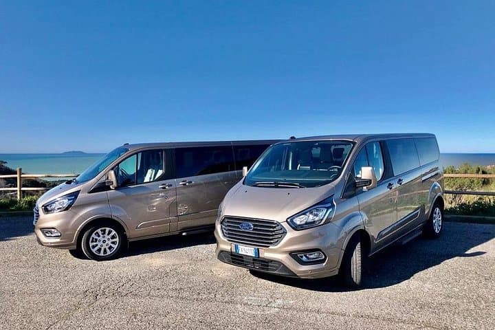 Pisa, Lucca & Winery Private Tour from Livorno port