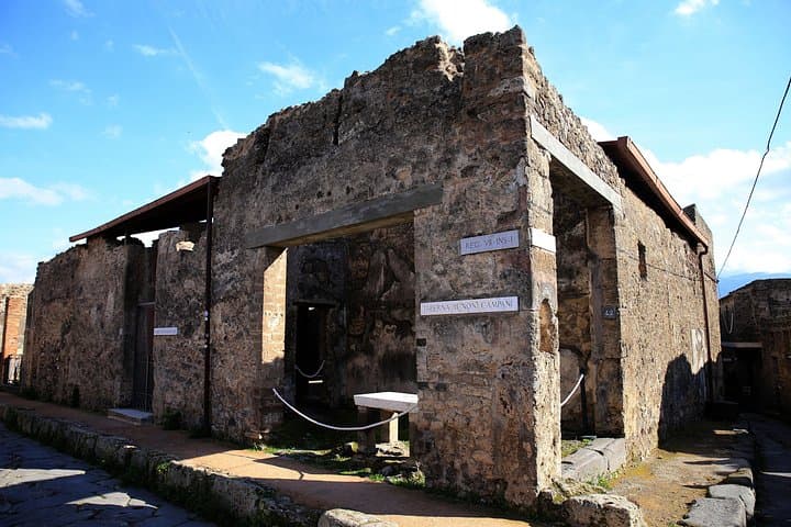 Skip-the-Line Best of Pompeii in one Day Tour w Local Guide & new opened houses