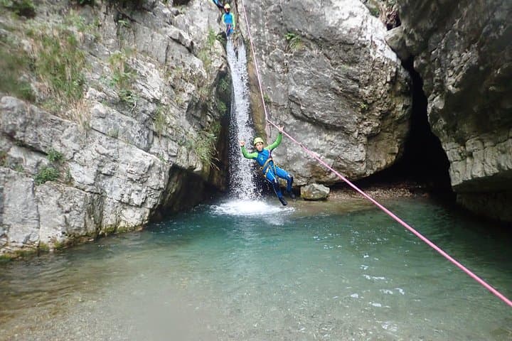 Flying fox