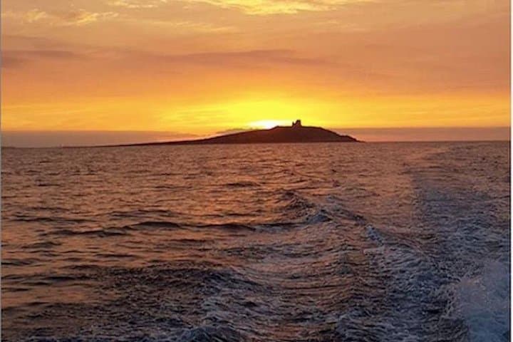 Island of females