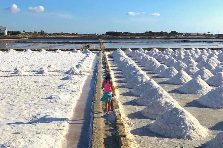 Tour from Palermo to Segesta, Erice, Trapani salt pans