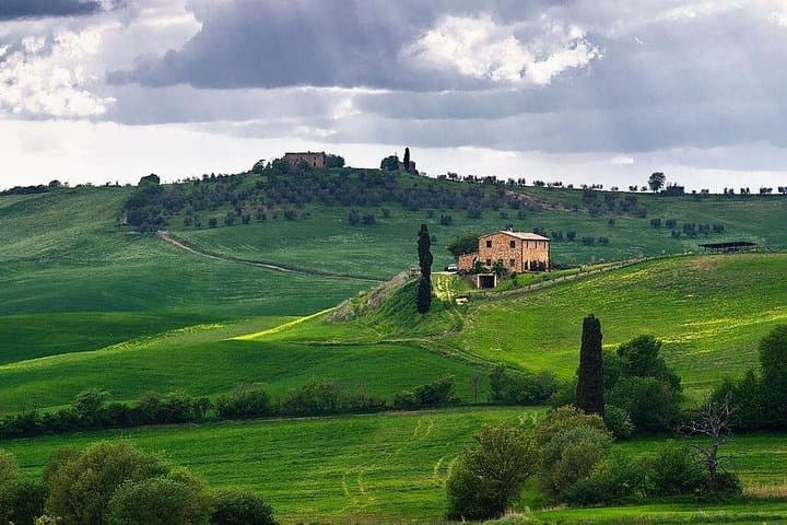 Private Day Trip Tuscany Landscape and Wine Tasting from Florence