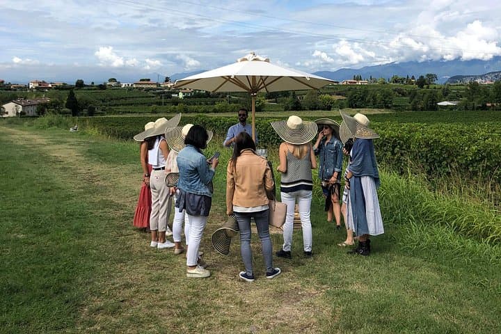 Lake Garda: Wine Tour & Tasting Experience in Bardolino area