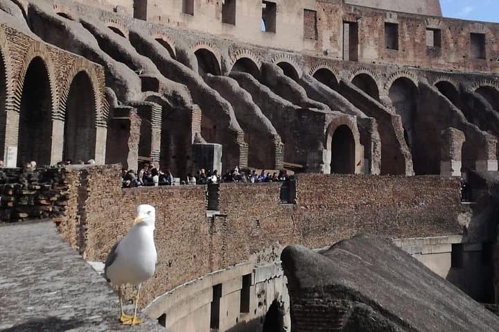 Private tour of Colosseum