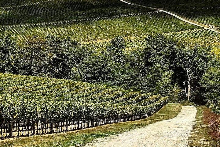 Private Day Trip from Florence to Pisa, Lucca and Vinci