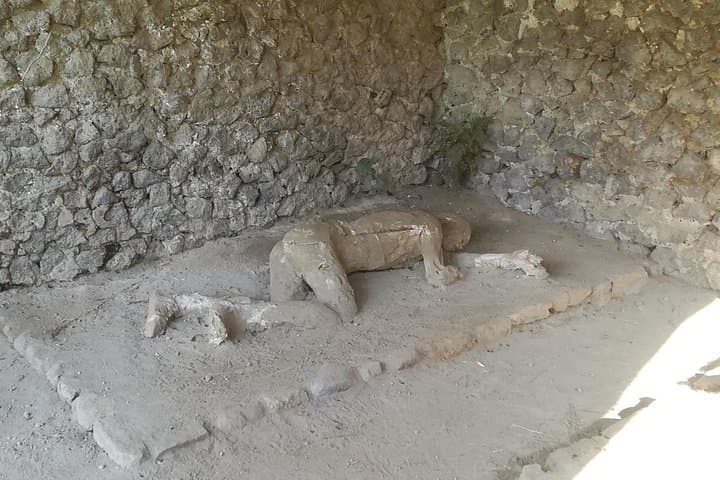 2-Hour Private Pompeii Tour for Kids with Alex – Skip the Line