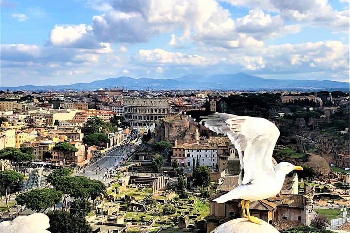 Colosseum panoramic view