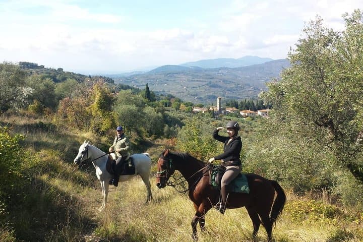Horse ride, Olive Oil and local foods tasting in a Tuscan farm