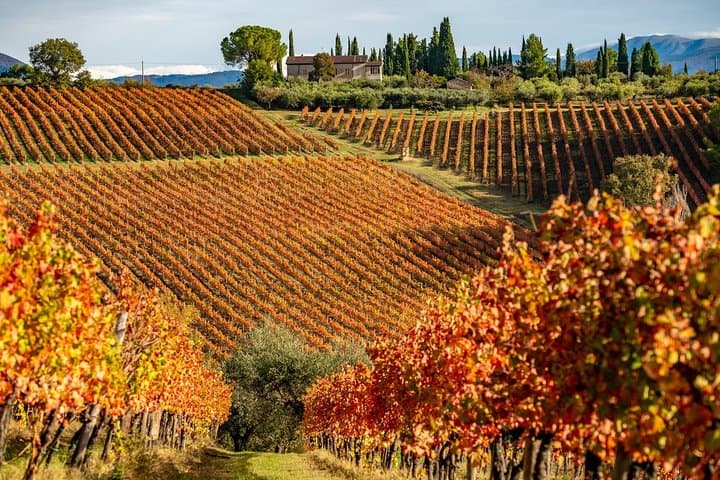 Livorno Shore Excursion: Chianti and Tuscany Countryside Private Wine Tour