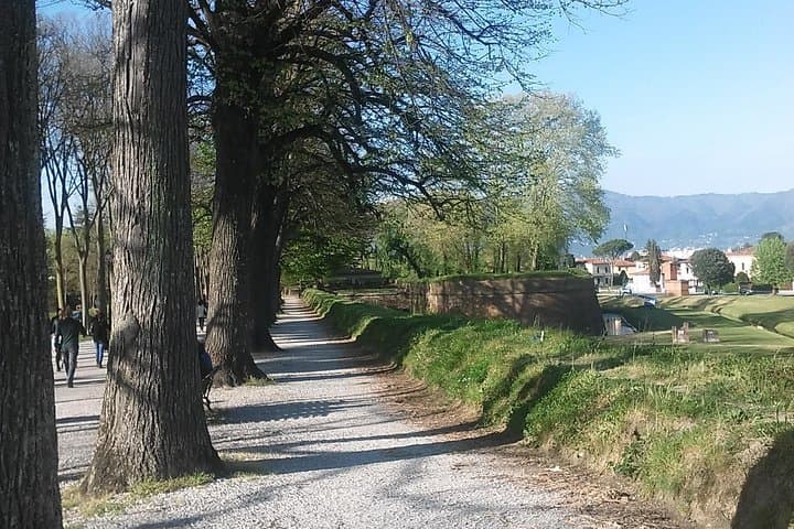 2-Hours Relax Walking Tour Through Lucca