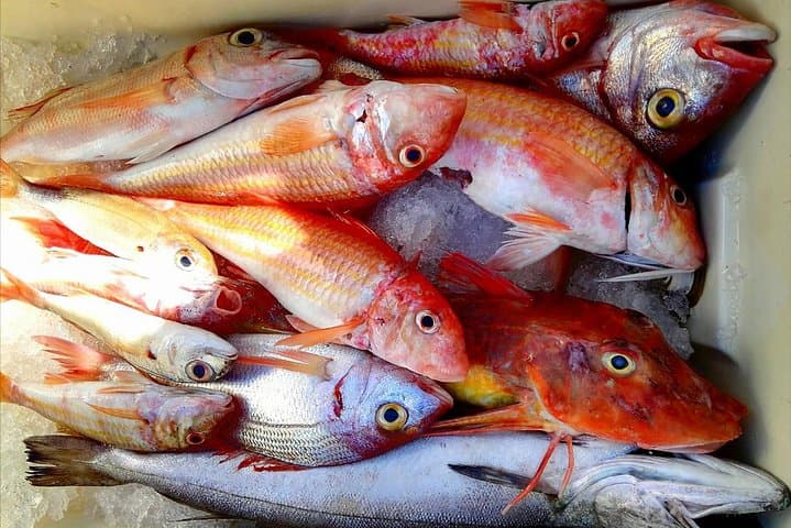 Capri Fishing Excursion with Snorkeling and Lunch from Sorrento