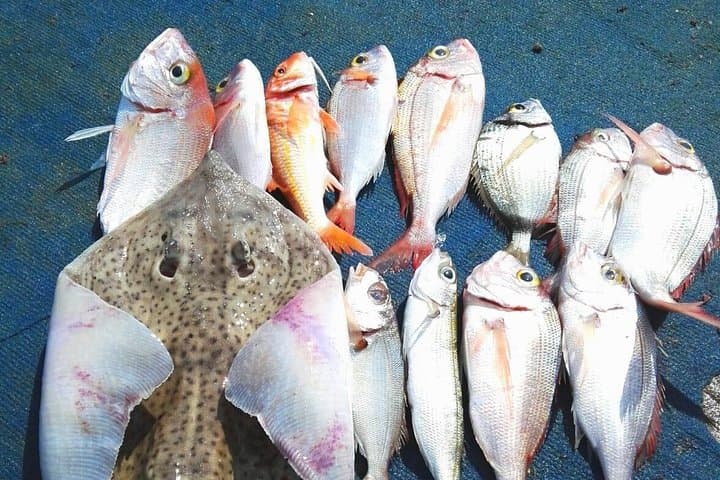 Capri Fishing Excursion with Snorkeling and Lunch from Sorrento
