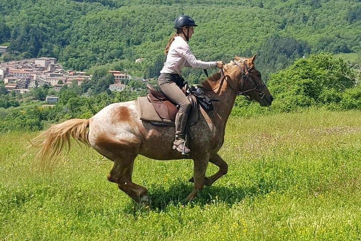 Horse Riding in Tuscany for Experienced or Beginner Riders
