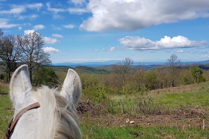 Horse riding Tuscany