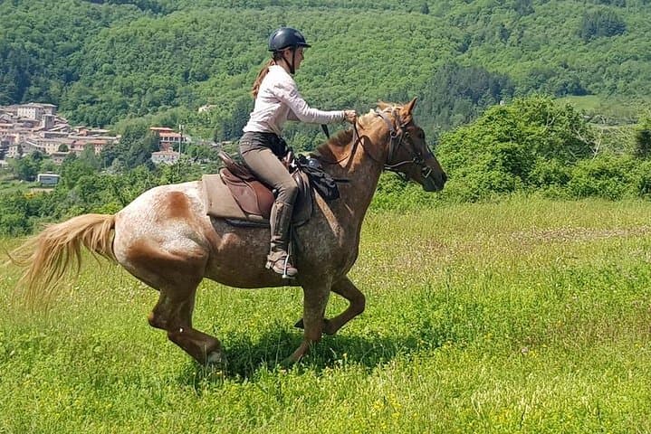 Horse riding near Montieri