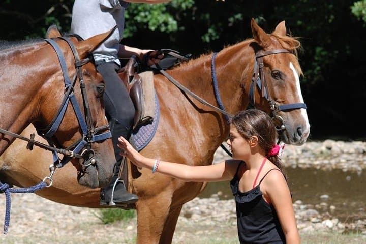 Riding at the river Merse