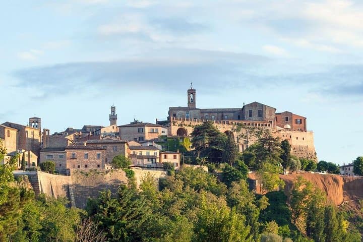 Day trip from Rome: Deluxe wine tasting in Montalcino - private tour