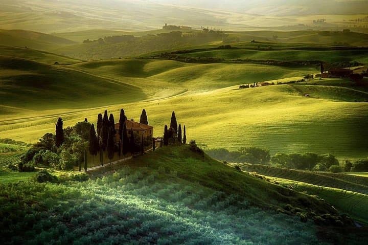 Day trip from Rome: Deluxe wine tasting in Montalcino - private tour