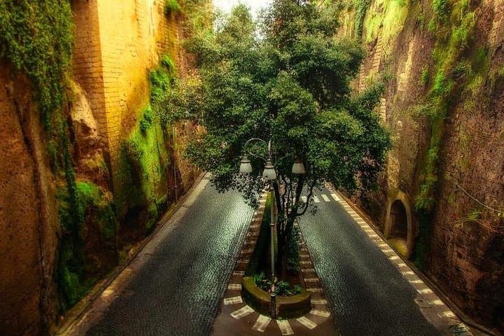Day Trip from Rome: Pompeii and Sorrento - Private Tour