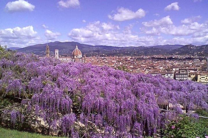 Gardens of Florence Private Walking Tour